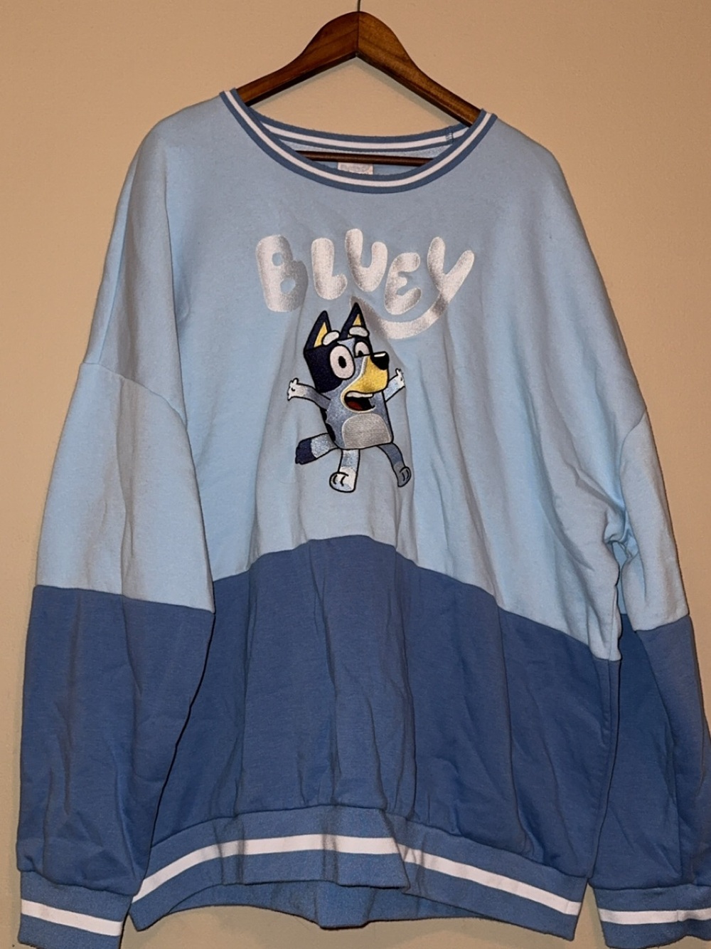 Bluey Light Blue & Navy Striped Crewneck Sweatshirt Size 3X